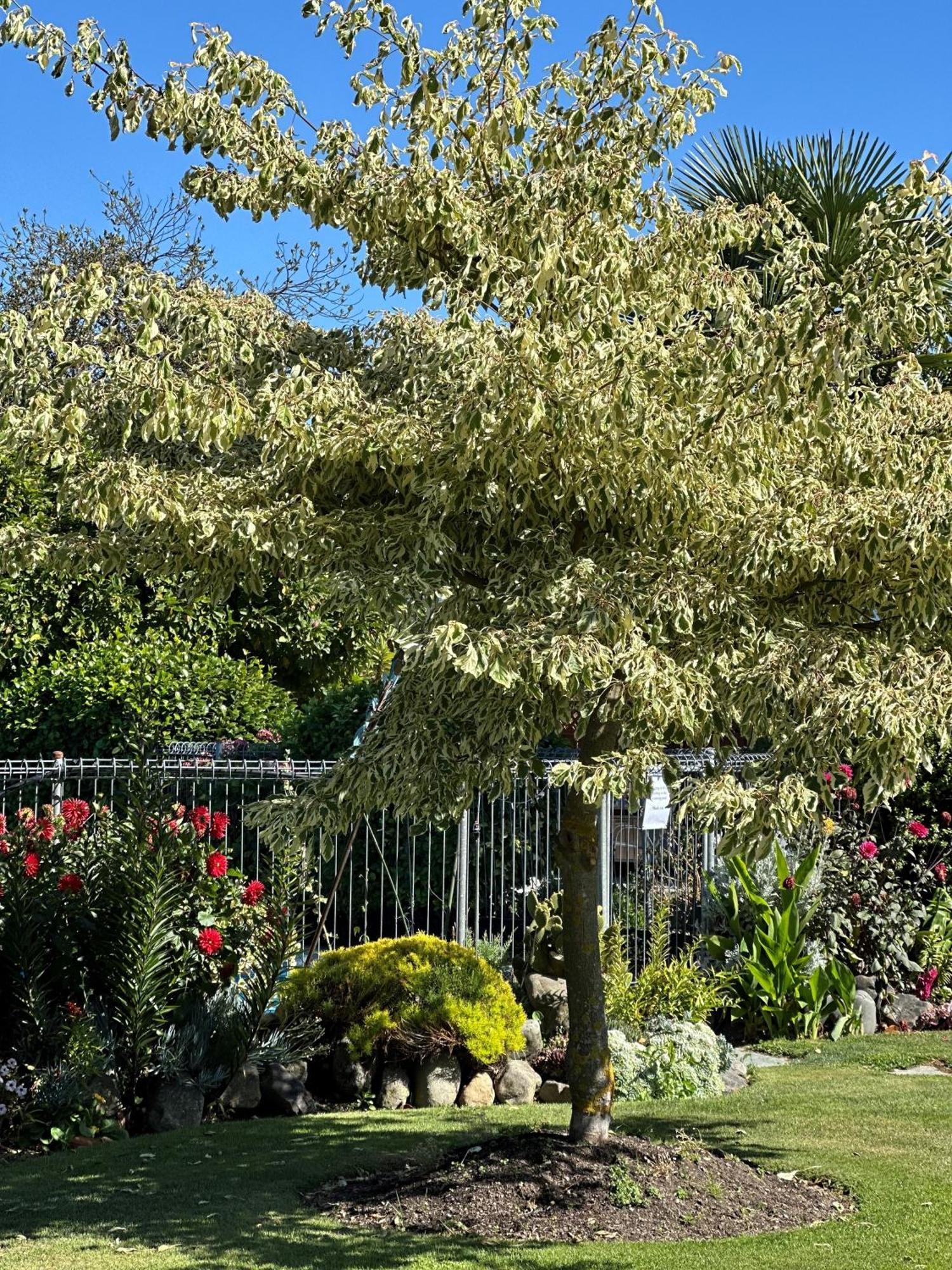 Middle Park Motel Blenheim Luaran gambar